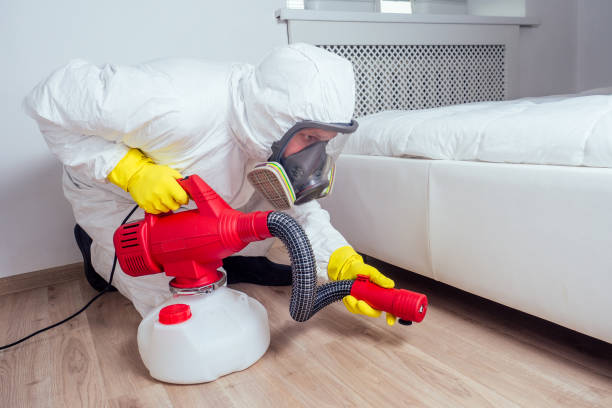 Professional Pest Control in Willits, CA